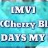 MV 첸 CHEN 벚꽃연가 Cherry Blossom Love Song OST 100 DAYS MY PRINCE