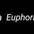 Scrim Euphoria Euphoria Lyrics