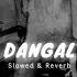 Dangal Slowed Reverb Motivation Song