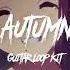 FREE FOR PROFIT Guitar Loop Kit AUTUMN LiL PEEP Sad Guitar Sample Pack Emo Guitar Kit