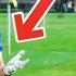 How To Make A Hands Free Golf Swing Eric Cogorno Erika Larkin