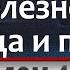 старинная молитва от болезней сердца и почек незримый щит