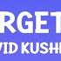 David Kushner Mr Forgettable Lyrics