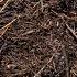 Composting Pine Needles Amazing Results Part 1