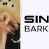 Sina Sarlak Barkhiz سینا سرلک برخیز