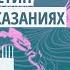 Ла Лоба Глава 1 Бегущая с волками I Аудиокнига для женщин о Дикой природе души