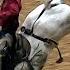 Bronc Riding 2023 Coors Cowboy Club Ranch Rodeo Saturday Censored