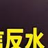 太子黨反習再擴大 前習親信也反水 習最終接班人會是他 紅朝禁聞