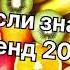 Танцуй если знаешь этот тренд 2024 года