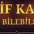 Elif Kaya Bir Bilebilsen Official Audio