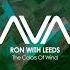 Ron With Leeds The Colors Of Wind Extended Mix AVA RECORDINGS