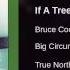 Bruce Cockburn If A Tree Falls