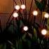 Garden Light Homedecor Gardening Gadgets