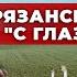 Как зарабатывают фермеры в Рязанской области Грибы и Ферма уток Бизнес в селе Андрей Даниленко