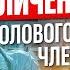 Как увеличить половой член Плюсы и минусы обрезания Врач уролог отвечает на вопросы