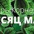 Игорь Корнелюк Месяц май