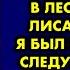 Бабушка попросила деда отнести бесполезного кота в лес и бросить лисам на обед Я был в шоке а на