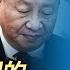 Wang S News Talk Xi Jinping Was Scolded Nikkei S Eavesdropping Report Is Ridiculous