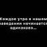 Каждое утро такое приколы рекомендации рек реки Shorts Short короткиевидео Ukraine україна