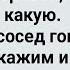 Мужик Привел к Соседке Быка Сборник Свежих Анекдотов Юмор