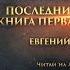 Последний паладин Книга первая Рождение Евгений Скребцов