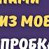 Свекровь заявила что забирает мою дачу но через 15 минут её чемоданы уже вылетели через порог