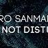 Pedro Sanmartin Do Not Disturb DP 6 Records