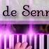 Wild Flowers Les Fleurs Sauvages Paul De Senneville Piano Cover Richard Clayderman