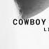 Beyoncé SWEET HONEY BUCKIIN PURE HONEY Live Concept COWBOY CARTER Tour