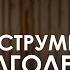 Анна Семенюк Остеопатия как перестать лечить симптомы и заниматься здоровьем целостно