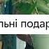 Розетка щоразу що треба нормально даруєш нормально буде вазонок реклама