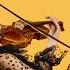 The Very Best Of Romantic Violin Instrumental Beautiful Relaxing Violin Music For Stress Relief