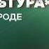 Алкоголик или жизнерадостный пьяница Откровенный разговор с наркологом Василием Шуровым