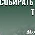 Заготовка лекарственных растений Как собирать высушивать и хранить травы Монастырский травник