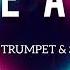 Timmy Trumpet Savage Freaks Radio Edit