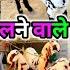 प लन व ल बकर Bichpuri Bakra Mandi Live Up Agra Bakra Mandi New Video Zkd December 16 2024