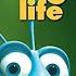 Opening To A Bug S Life DVD 1999 Standard Version