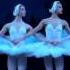 Танец маленьких лебедей Dance Of The Little Swans From Swan Lake