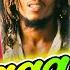 Bob Marley Gregory Isaacs Lucky Dube Jimmy Cliff Peter Tosh Eric Donaldson Best Reggae Mix 2024