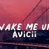 Avicii Wake Me Up Slowed Reverb