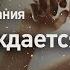 Как зарождается жизнь Почему вопросы мироздания Discovery