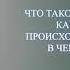 7 класс История Народные движения в ХVII веке