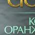 КОРОЛЬ ОРАНЖЕВОЕ ЛЕТО ХИТЫ НА ВСЕ ВРЕМЕНА ВАЛЕРИЙ СЮТКИН