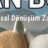 Aslan Burcu Duygusal Dönüşüm Zamanı Bu Hafta Kendini Nasıl Keşfedeceksin