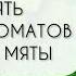 ПЯТЬ КРУТЕЙШИХ АРОМАТОВ С НОТОЙ МЯТЫ ОСВЕЖАЮЩИЕ МЯТНЫЕ АРОМАТЫ