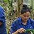 17 Year Old Single Mother Builds Bamboo House Alone Starts New Life After Storm