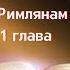 11 глава Послание Апостола Павла к Римлянам читает Ольга Голикова