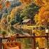 Cozy Autumn Day At Lakeside Coffee Shop Ambience Smooth Jazz Background Music For Relax Work