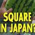 Why Watermelons Are Square In Japan