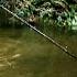 Bear Pesca Pirañas Con Arco Y Flecha En La Amazonia A Prueba De Todo Discovery Latinoamérica